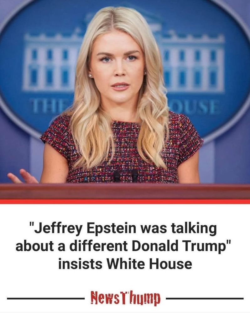 Karoline  Levitt picture, caption says: Jeffrey Epstein was talking about a different Donald Trump insists the White House
