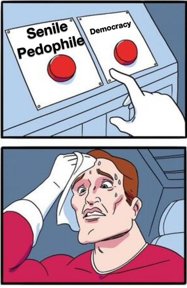 Cartoon with two frames. The first frame has a choice between two red buttons first one says "senile pedofile" The second one says "democracy."
The second frame shows someone sweating trying to choose. 