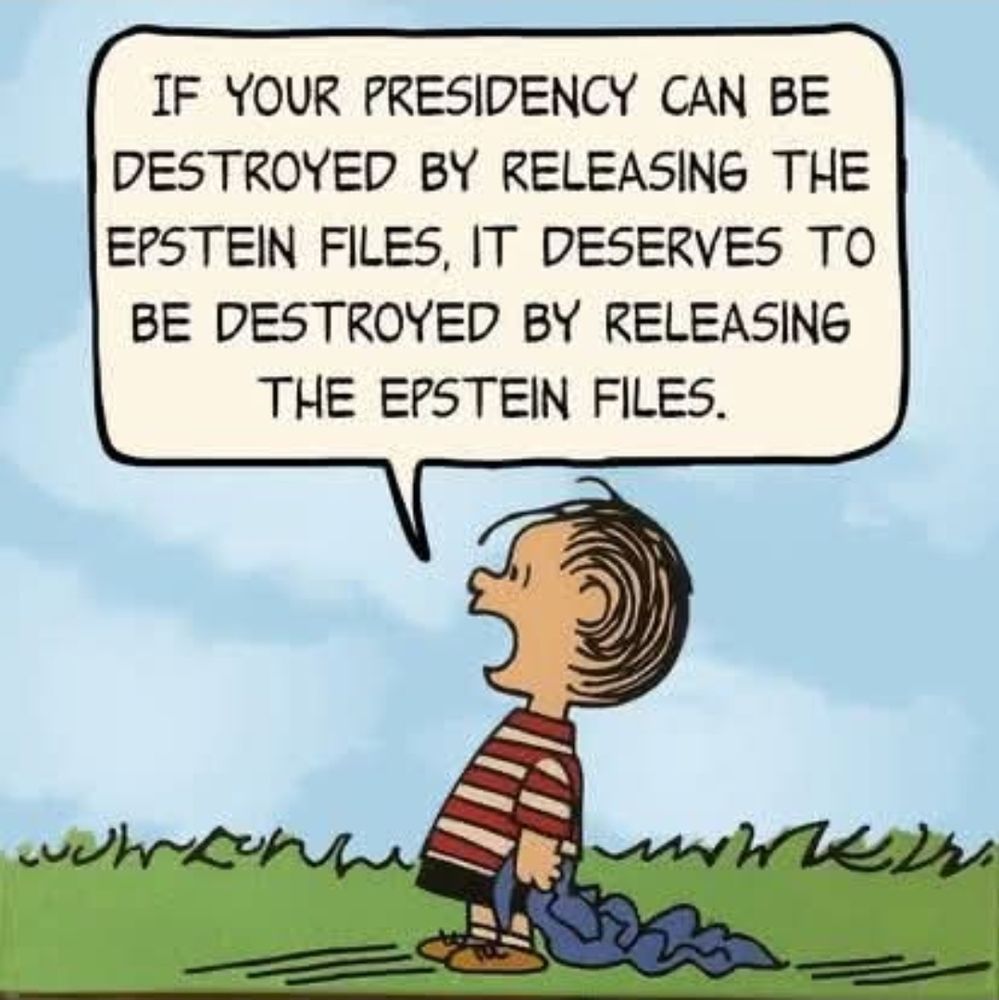 Picture of Linus with his blanket, caption says if your presidency can be destroyed by releasing the Epstein files, it deserves to be destroyed by the Epstein files.