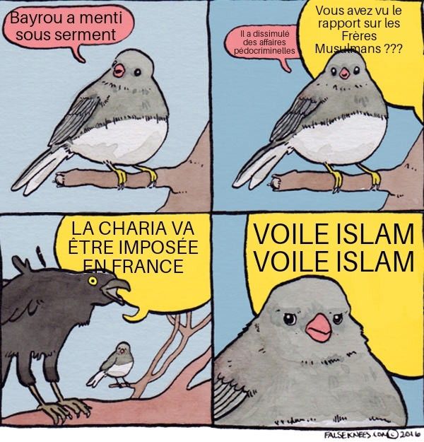 Meme du petit oiseau qui alerte sur le fait que Bayrou a menti sous serment en commission d'enquête sur Bétharram.

Sa voix est progressivement recouverte par un corbeaux qui crie "La charia va être  imposée en France" et "Voile islam voile islam"
