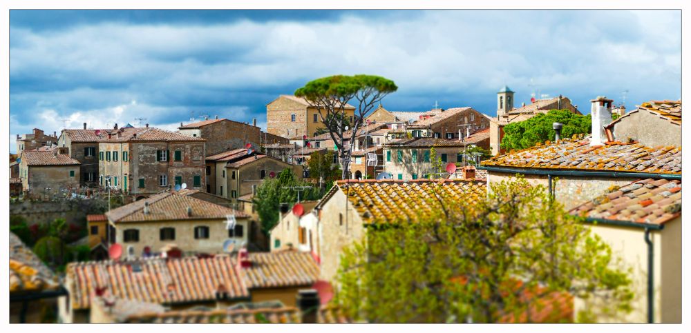 Rooftops and trees in Volterra, Italy.