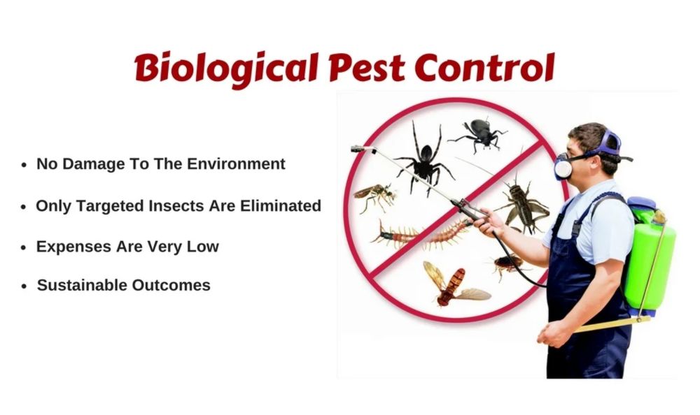 Biological Pest Control uses, advantages and disadvantages - Science online