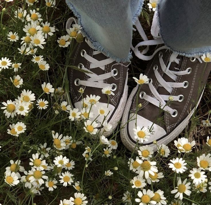 um par de pés calçados com all stars pretos e parte de um calça jeans clara  visível pisando em uma grama cheia de margaridas brancas