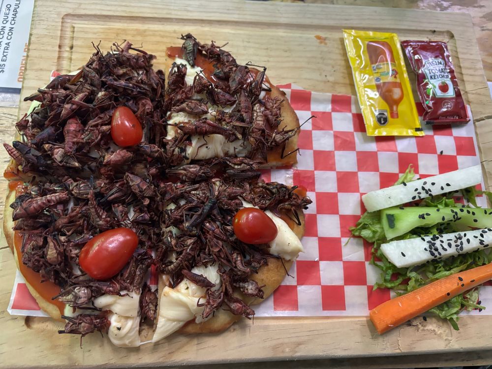 A personal sized pizza covered in chapulines with ketchup and hot sauce packets on the side 