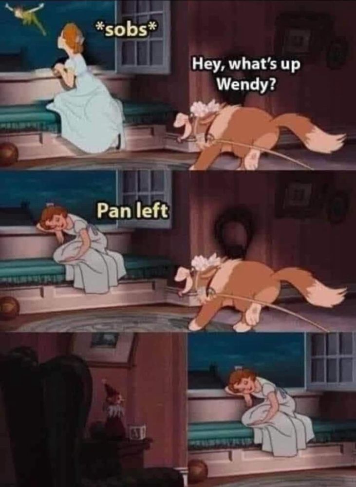 A three panel scene from Disney's Peter Pan (1953). The first panel shows Wendy looking out her window and sobbing as Peter Pan flies off. Her dog asks her, "what's up?" In the second panel, Wendy simply replies, "Pan left". In the final panel, we see the same scene as in the previous panel, but this time the "camera" appears to have, indeed, panned left, revealing more on that side of Wendy's room.