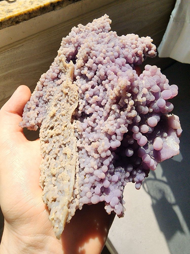 A large Grape Agate being held up in the sunlight.