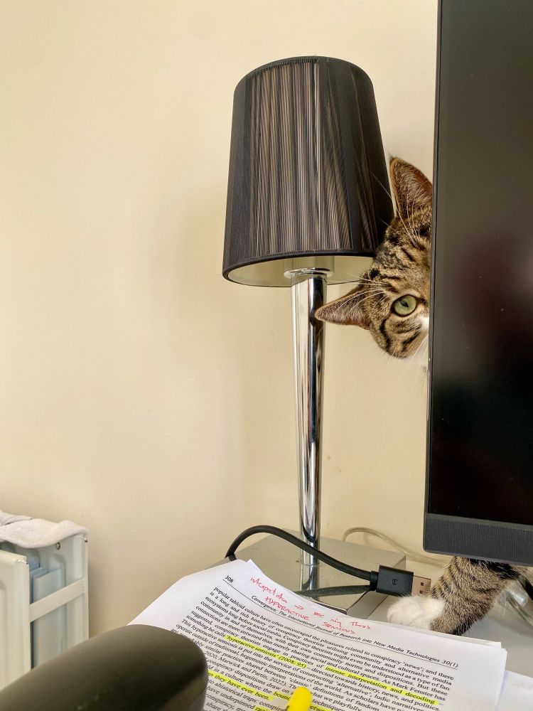 A cat peers inquisitively from behind a computer monitor. Some journal articles with highlighted segments and jotted notes are in the foreground.