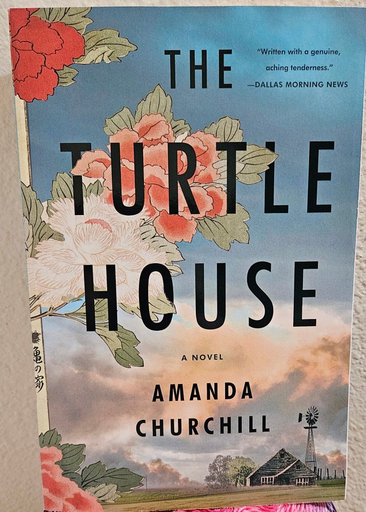 Photo of the book, the turtle house, by Amanda Churchill.