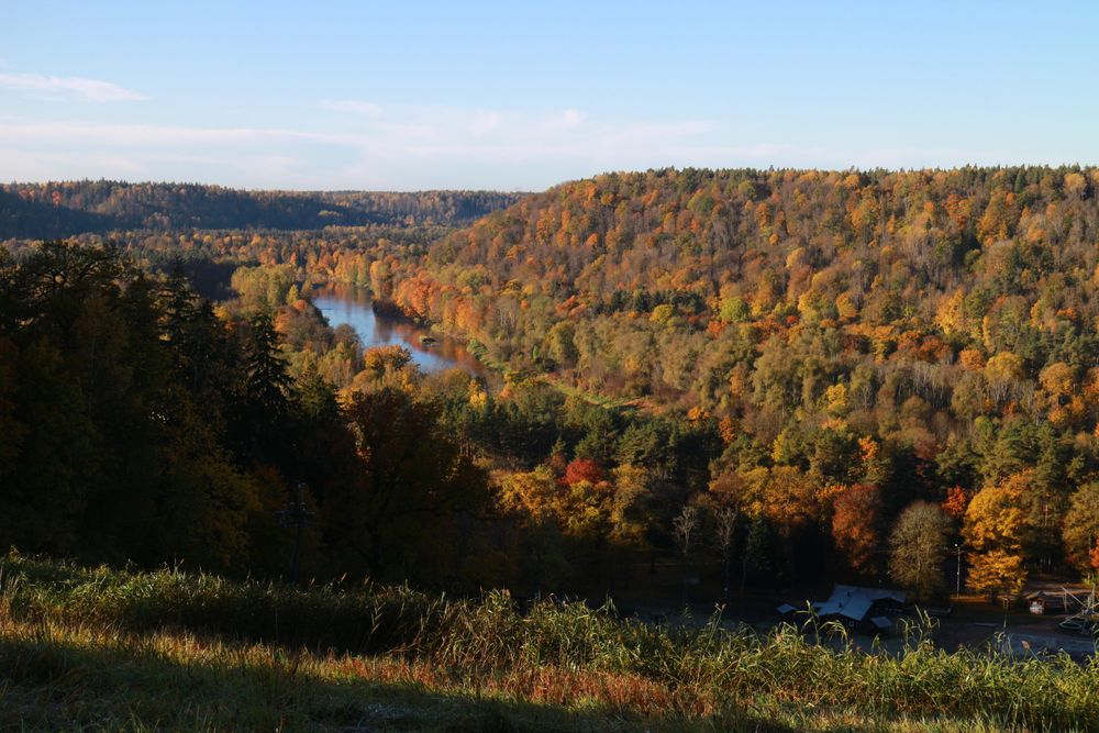 Panoramic view of a forested valley with a winding river visible through dense autumn trees displaying fall colors, with hills in the background
