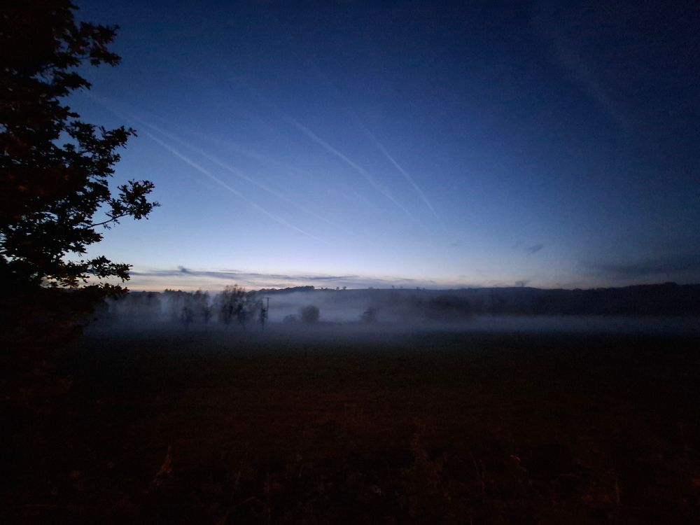 Eine neblige Baumlandschaft mit Kondensstreifen am ausblauenden Abendhimmel . 