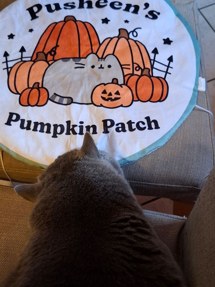 Oh ! Der Knistereffekt wurde entdeckt .