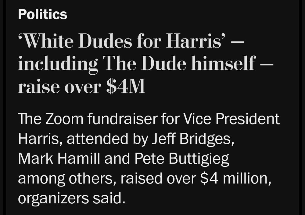 Headline of an article from the Washington Post that says White Dudes for Harris including the dude himself raise over 4 million