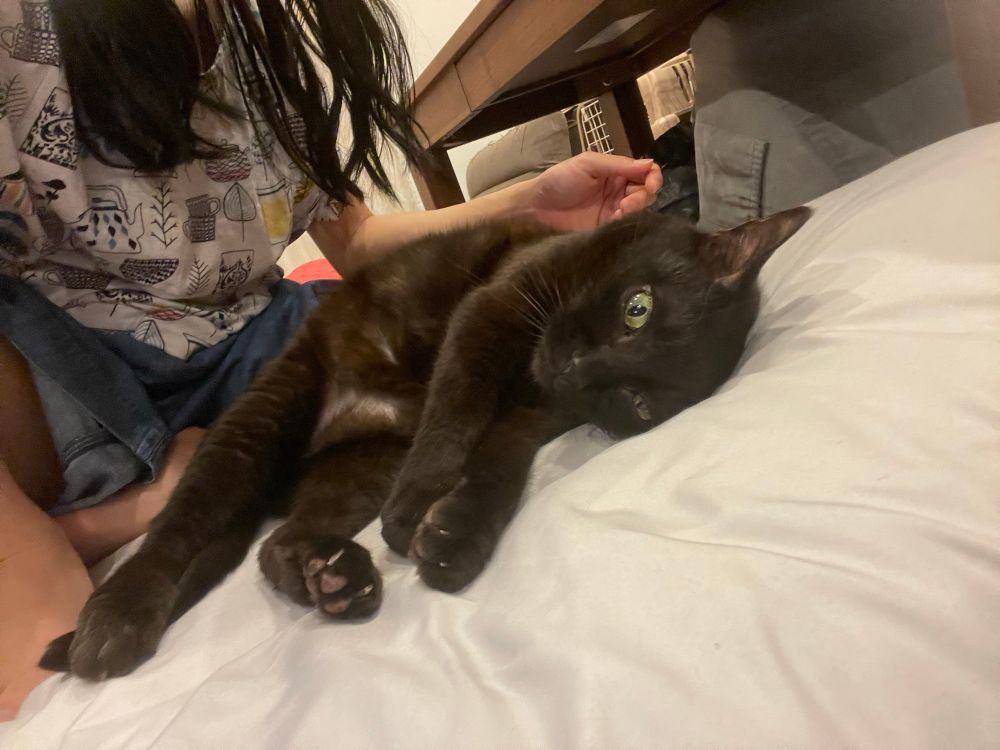 そばにいるのが大好きだった。