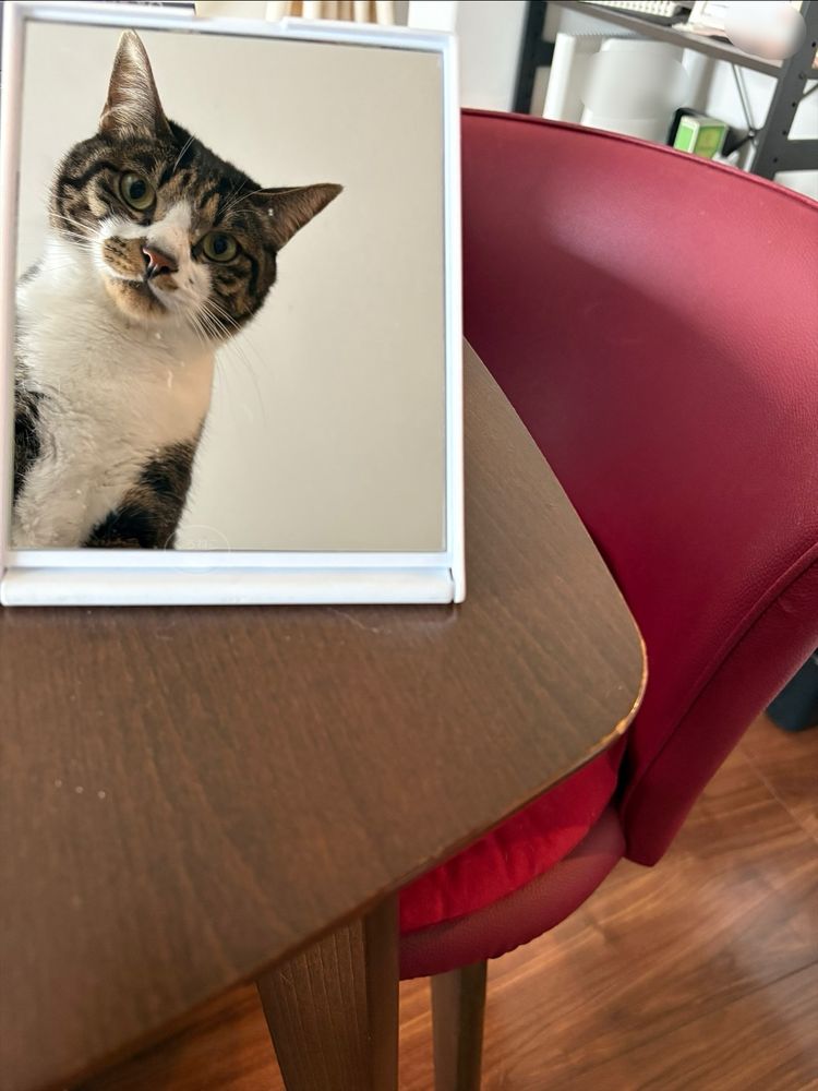 こっちみてる笑