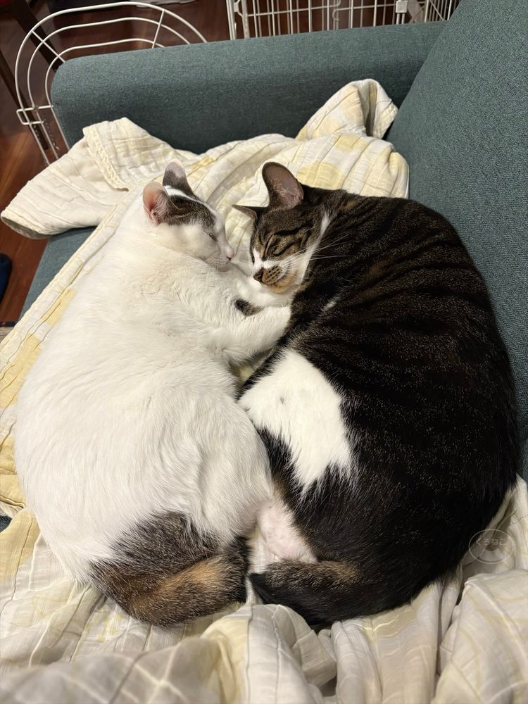 お互いいつまでも仲良くね。