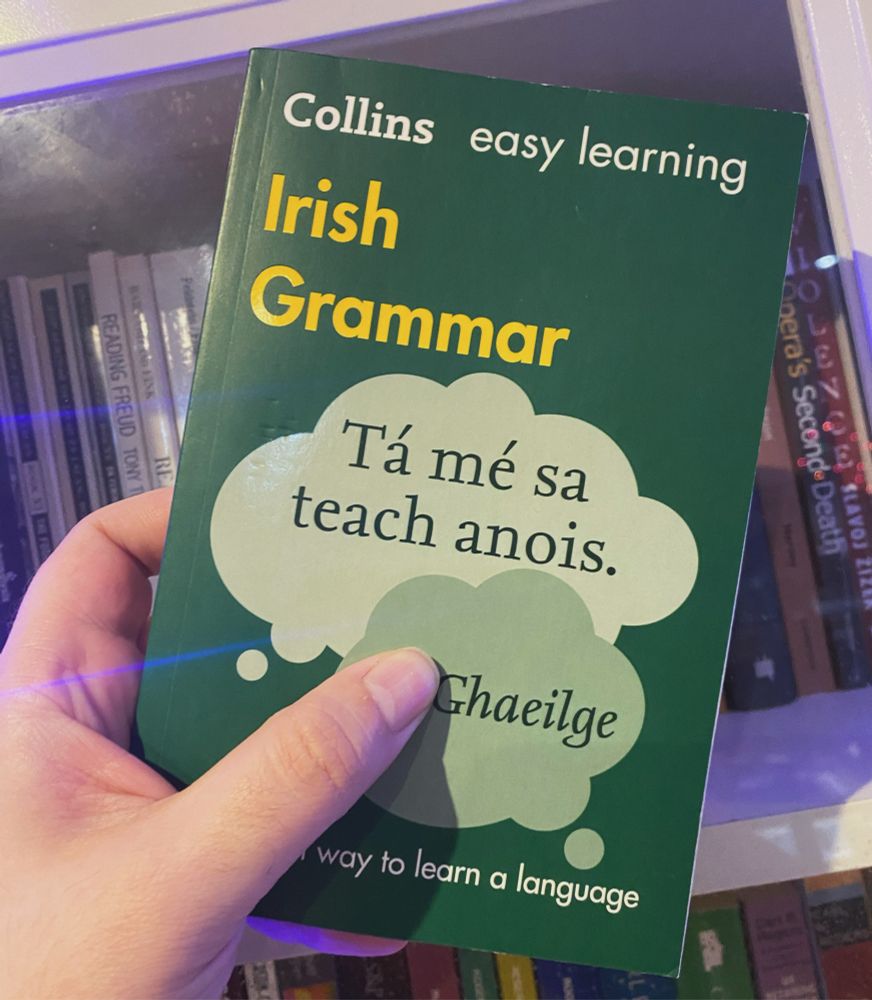 Collins Irish grammar book. 