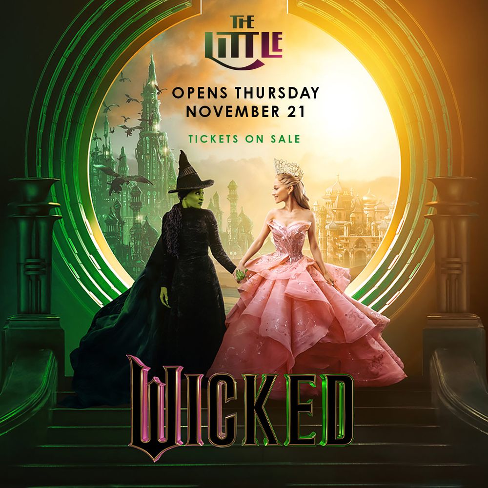 A witch in black hat and dress holding hands with a woman in pink gown. They're both in front of a window with the land of Oz behind them 