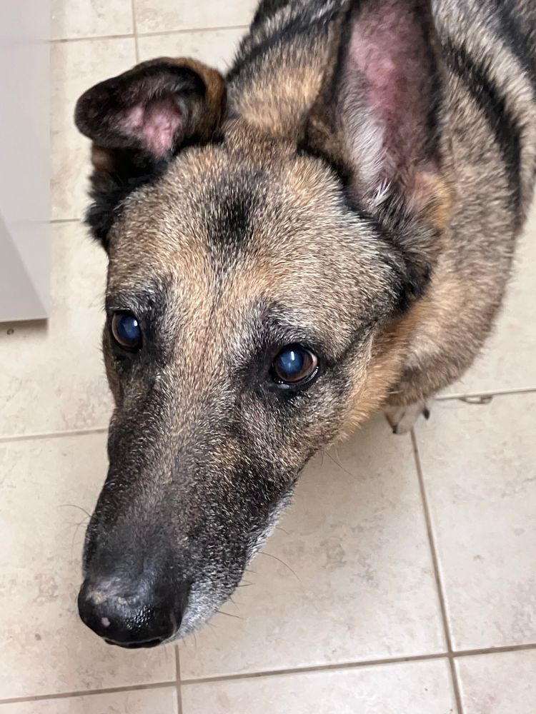 She’s wanting the cheese I had
