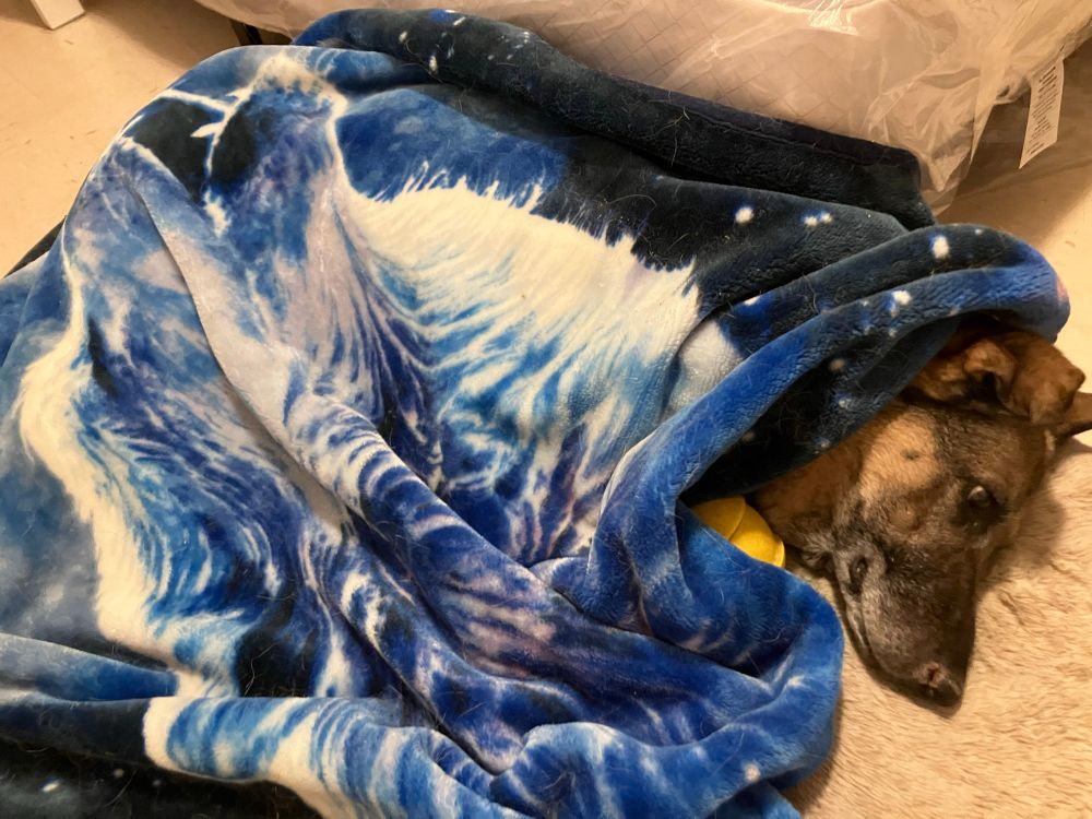 Ready for bed