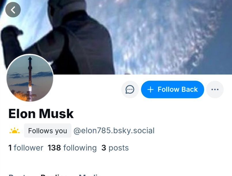 Fake Elon Musk account 