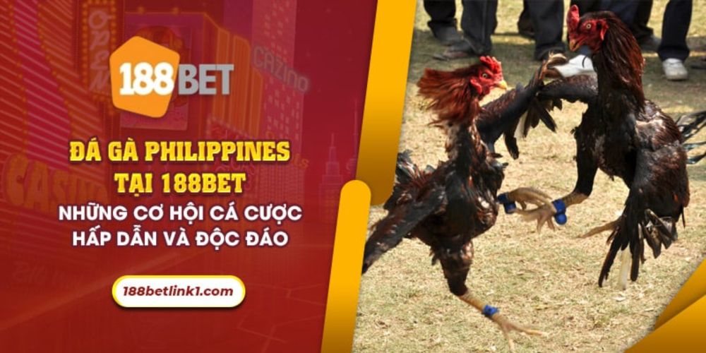 Đá gà philippines tại 188Bet: Cơ hội cá cược hấp dẫn