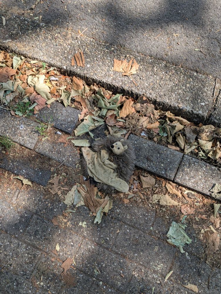 Stoff-Igel an Parkplatzkante