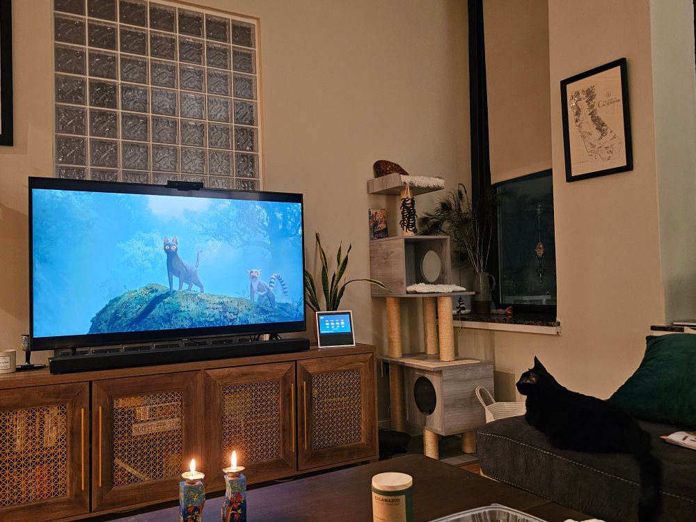 A television screen shows a black cat, the star of the animated film Flow, standing on a rock with a lemur nearby. Next to the TV Sid, our real life black cat, watches with interest.