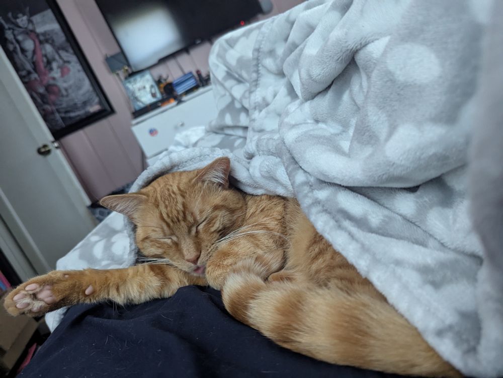 My orange cat Krackle curled up against my hip and partially under the blanket. His eyes are closed and he got a little blep going