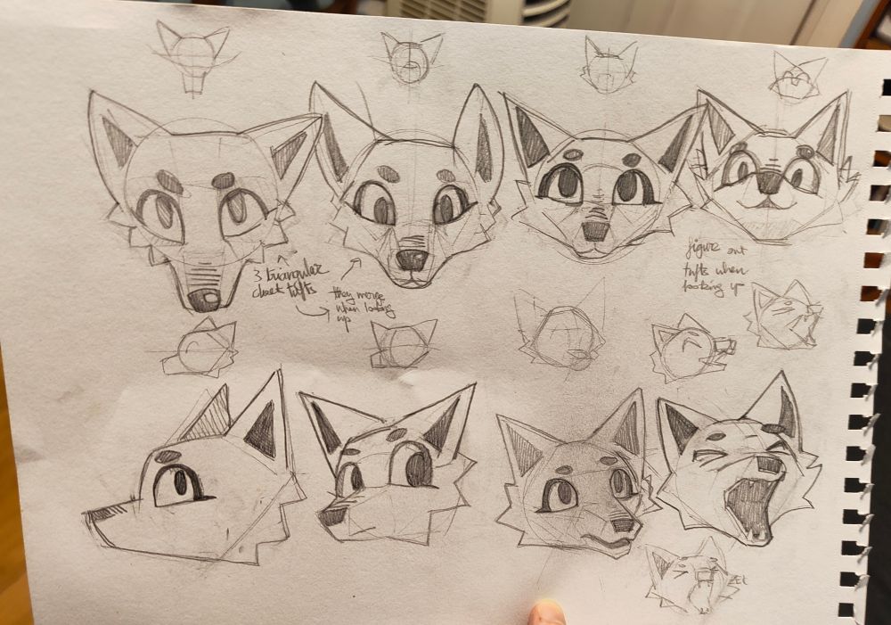 pencil sketches of many different faces of a fox character. some of them have tiny satellite sketches or annotations