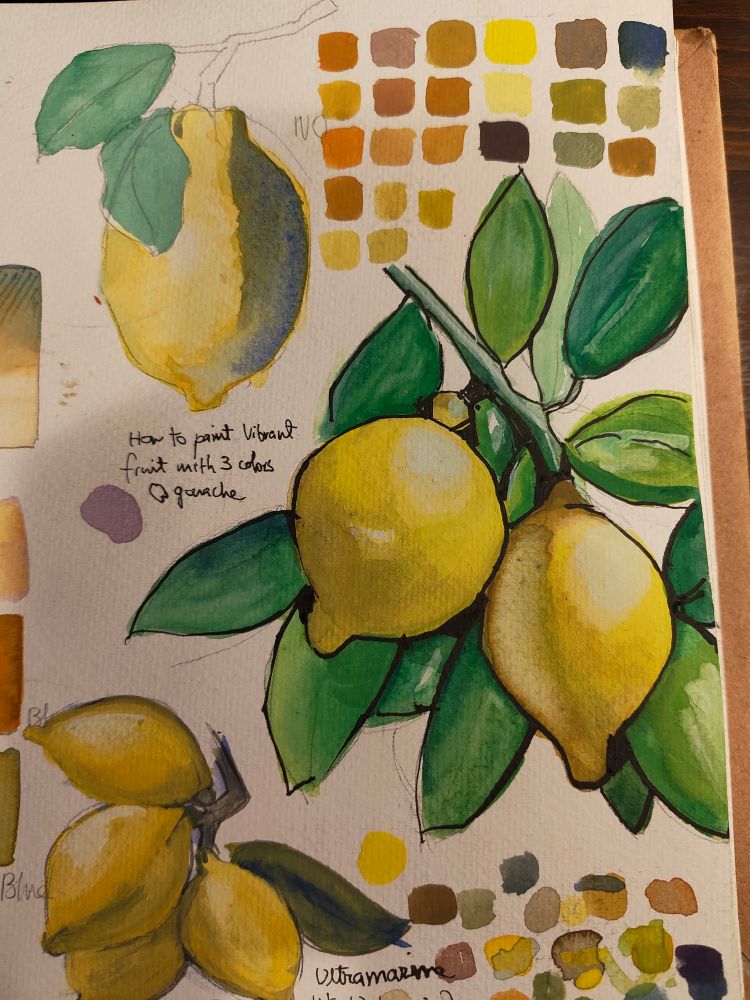 gouache sketch page. 3 paintings of lemons, plus many color swatches. the gouache improves a little each time.