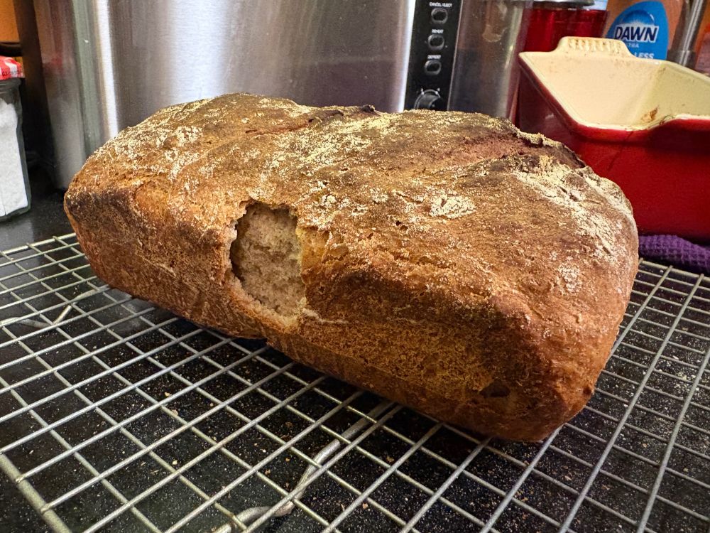 photo of a loaf of bread with an irregular circle in the side

(it stuck to the pan and i was impatient) 