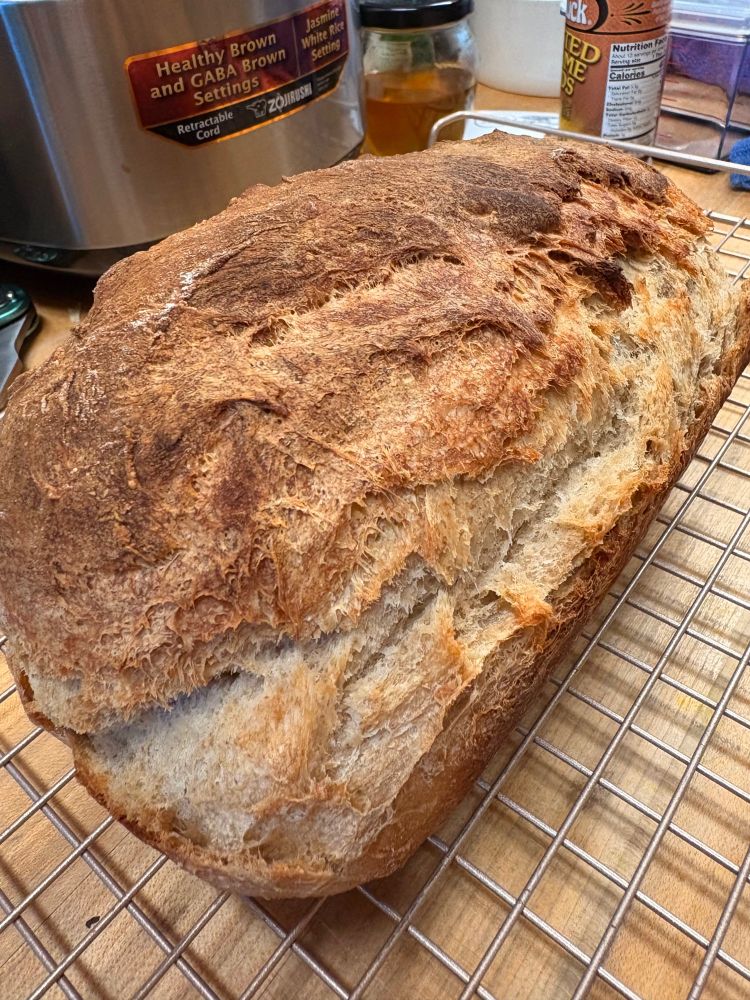 photograph of a loaf of bread

it’s got loads of nooks and crannies and is kinda lopsided, but thats okay it has 325 AP flour, 100 dark rye flour, 1 1/2tbsp salt, 8g instant dry yeast. 1 1/2c water, an undisclosed amount of honey because i was rushing okay