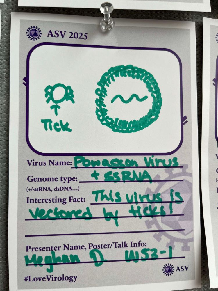 Virus card about Powassan Virus, W53-1