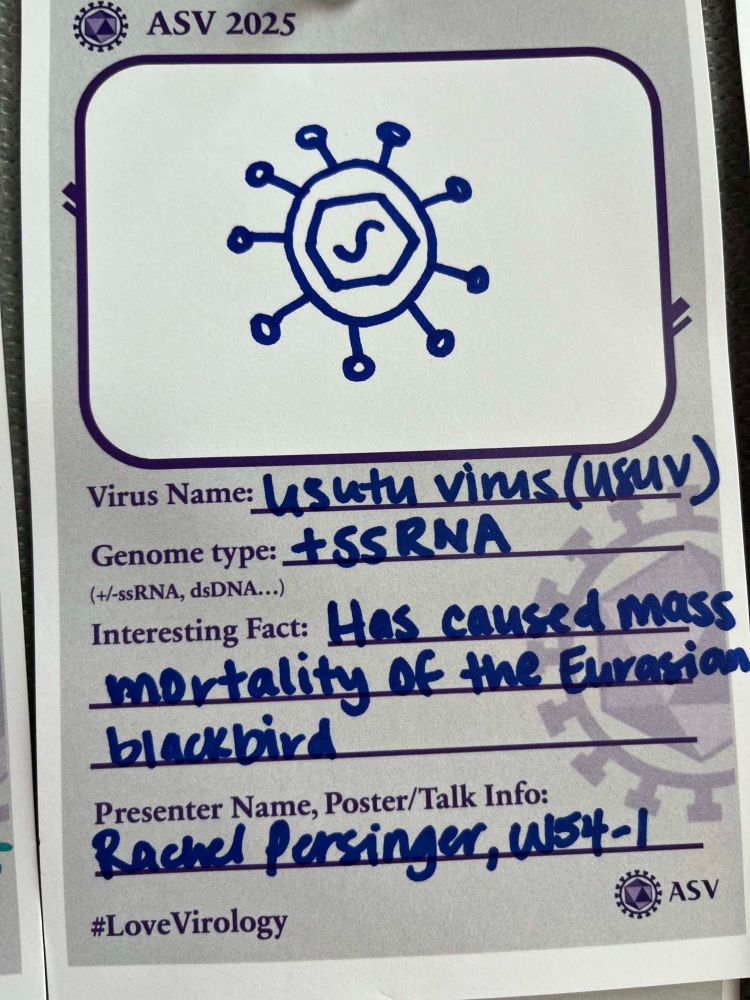Virus Card about Usutu virus, W54-1