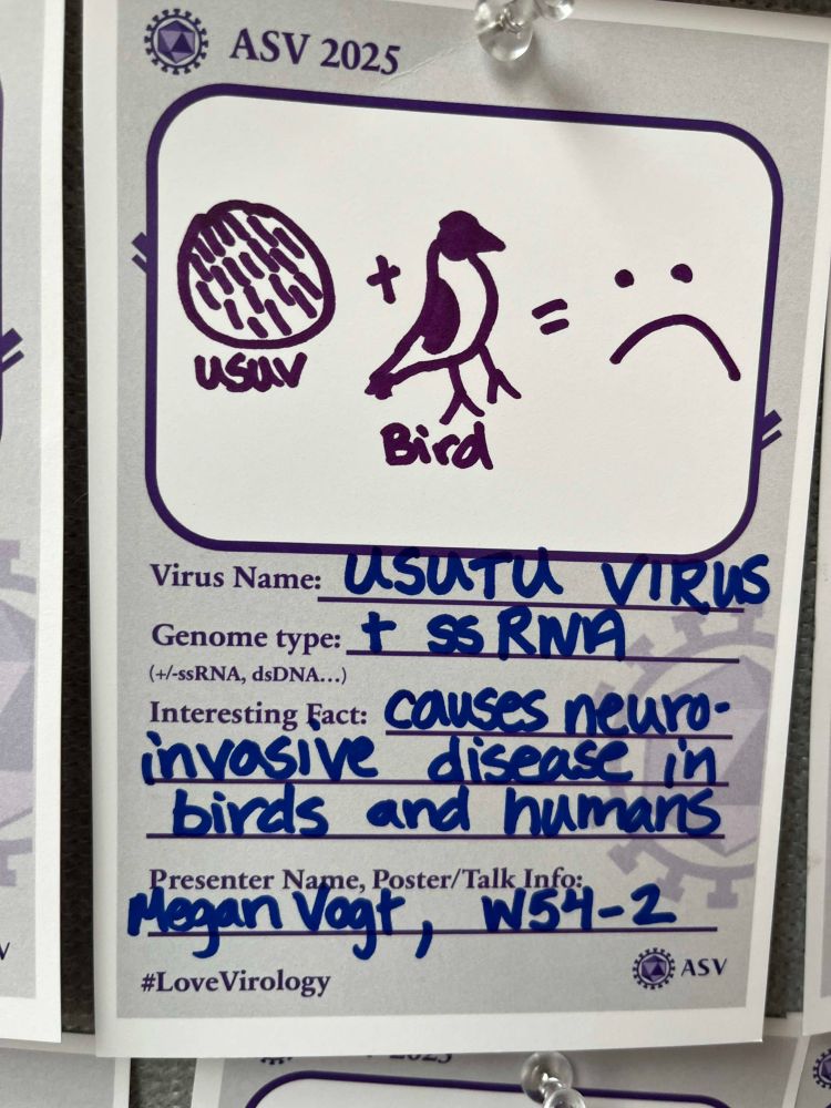 Virus card about Usutu Virus, W54-2
