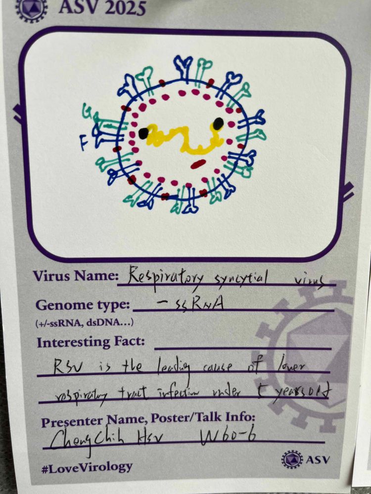 Virus card about respiratory syncytial virus, W60-6