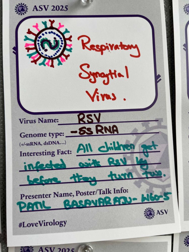 Virus card about respiratory syncytial virus, W60-5