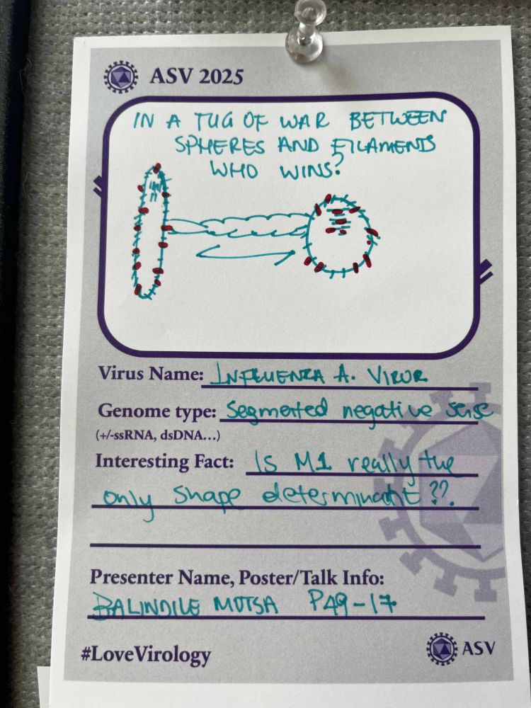 Virus card about Influenza A, P49-17