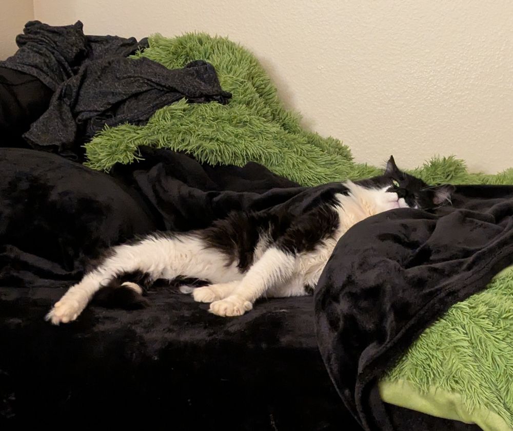 Large black and white cat totally relaxed on a black and green bed, toe beans spread, keeping one eye open, gripping the blanket tight. 