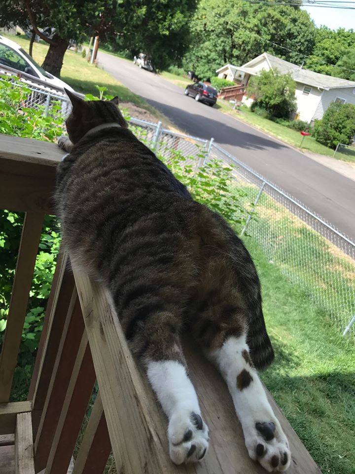 Lil' Bit; living on the edge.