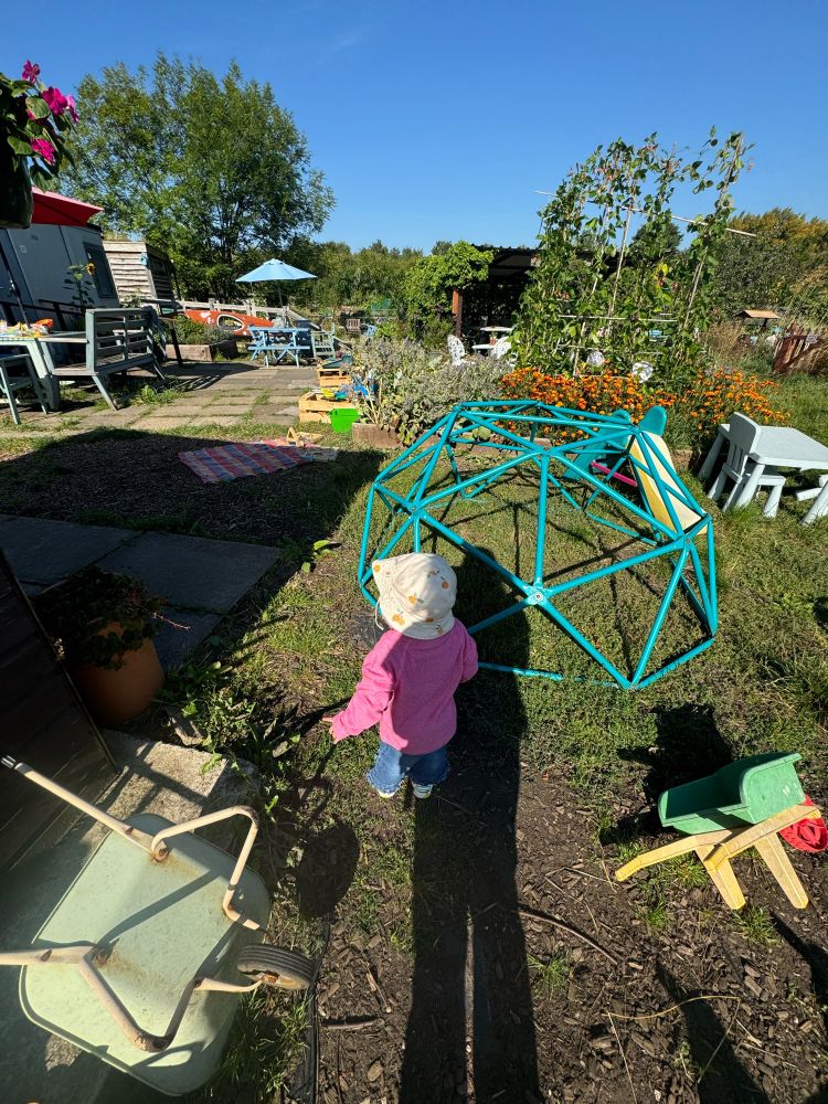 Toddler stood in community garden