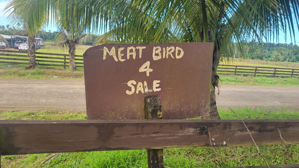 Sign: Meat Bird 4 Sale