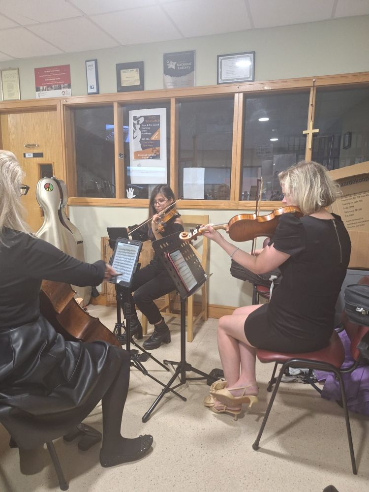 Cappricio String Quartet at the Culture Night screening of Birdsong