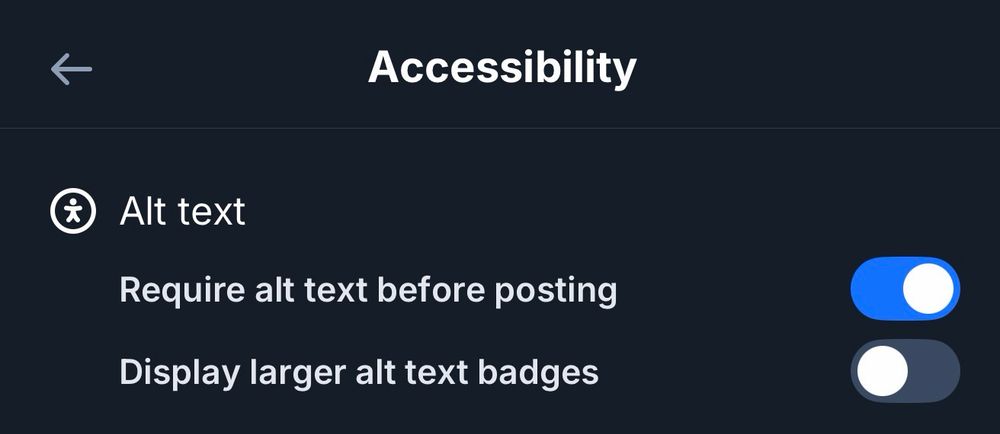 Screenshot of Accessibility section of Bluesky settings. Shows the “Require alt text before posting” box that is checked.