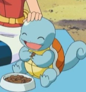 May petting her happy squirtle while he eats in the Pokémon anime 
