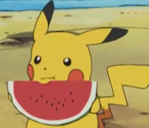 Screenshot of pikachu eating a watermelon in the Pokémon anime 