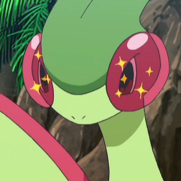 screenshot of a Flygon in the Pokémon anime staring straight a head with twinkles in its eyes 