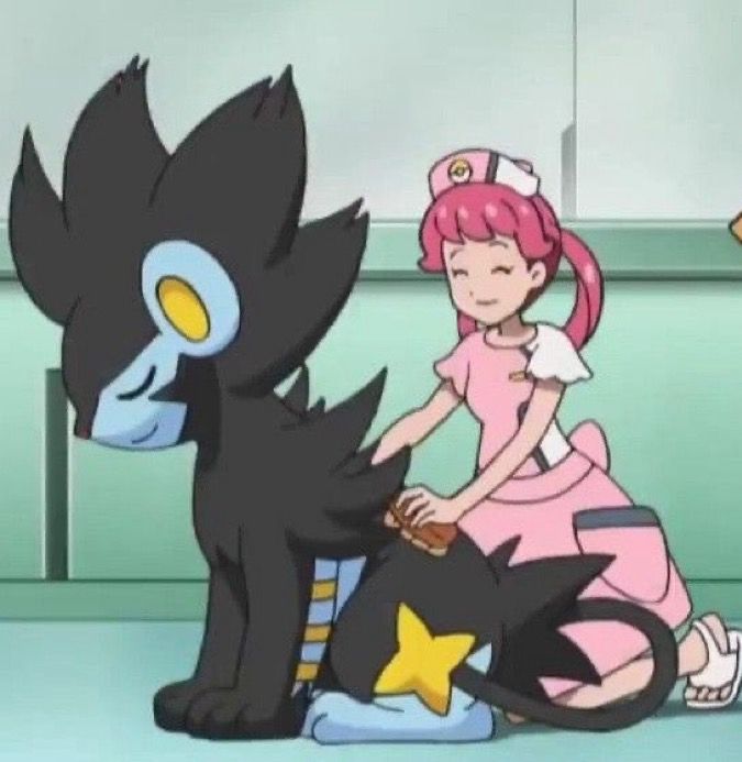 Screenshot of a Luxray in the Pokémon anime getting its fur brushed by nurse joy in the Pokémon center 