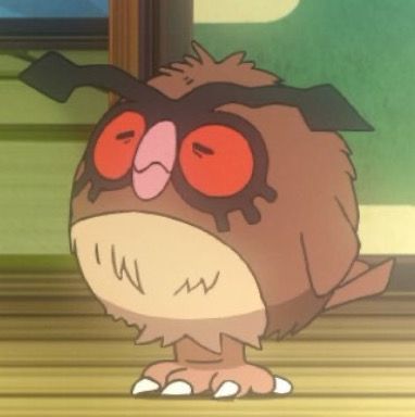 Screenshot of an old hoot-hoot in the Pokémon anime 