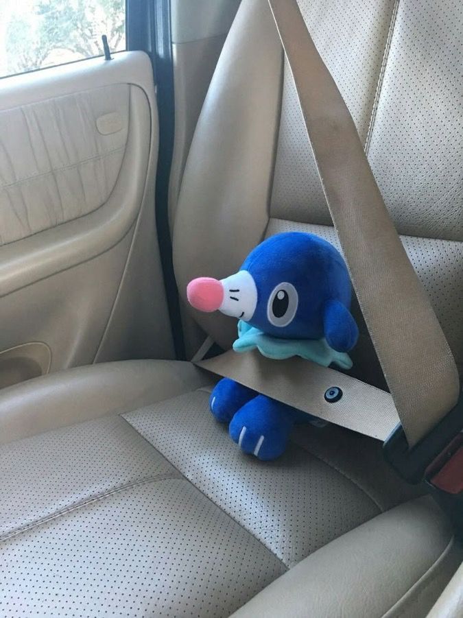 Photo of a popplio plush being strapped into a seat belt 